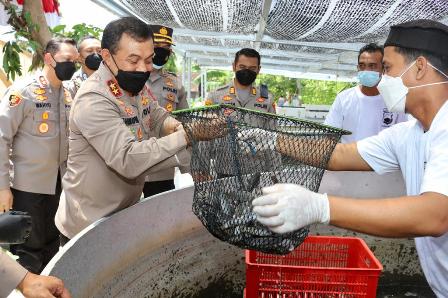 Kapolda Jateng Panen
